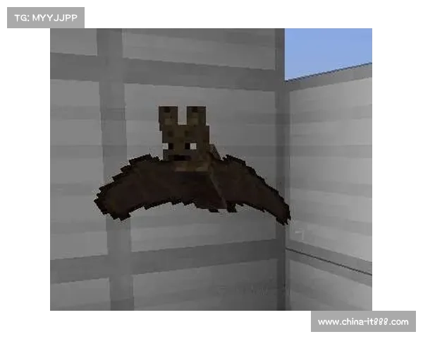 《穿越未知世界探索失落秘术的冒险之旅与生命智慧启示》